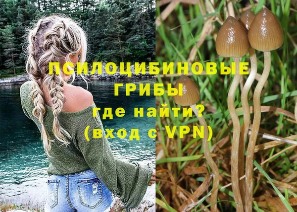 каннабис Алзамай