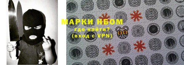 apvp Гусев