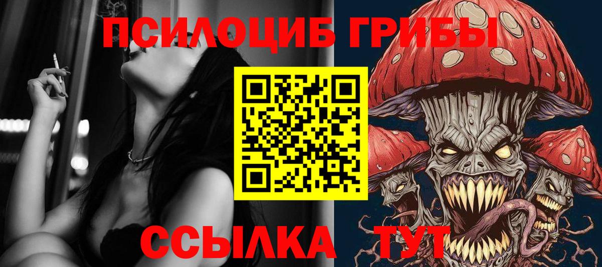 Псилоцибиновые грибы GOLDEN TEACHER  Вход с VPN  Ярцево  Псилоцибиновые грибы мухоморы 