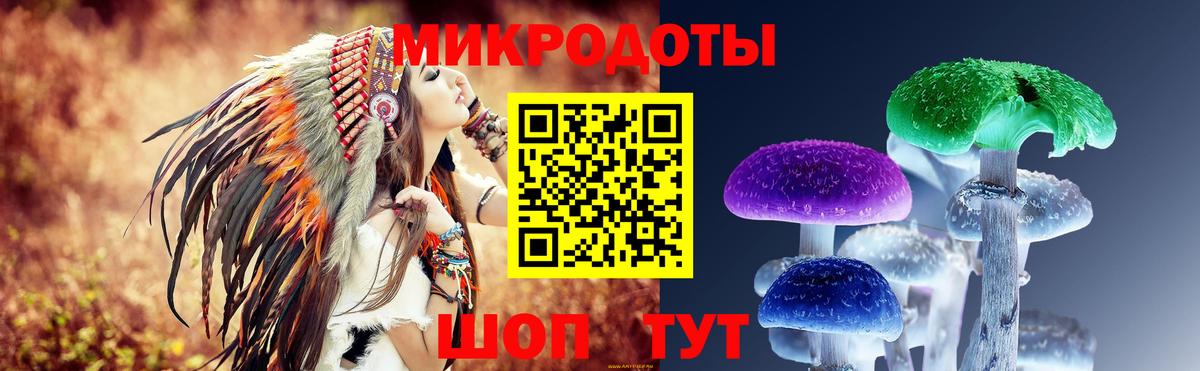 Галлюциногенные грибы Cubensis Ярцево